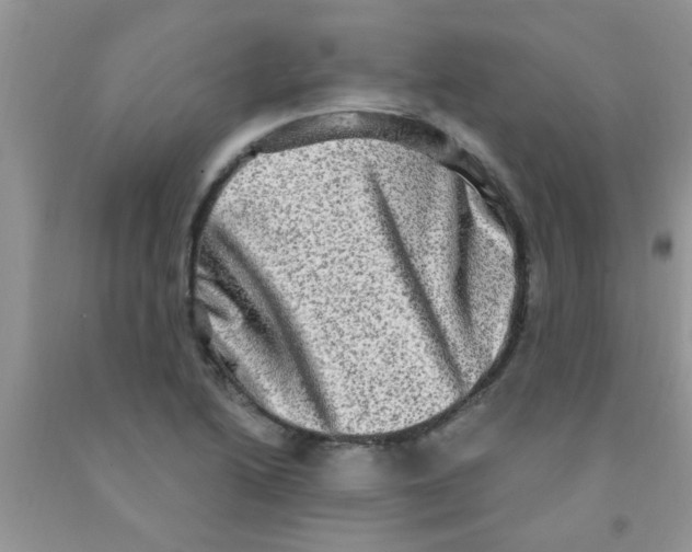 X0000091351222200709071232