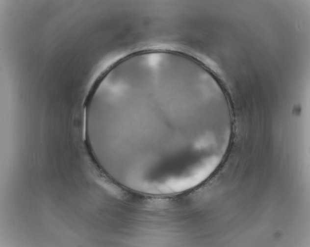 X0000091351223200709071232
