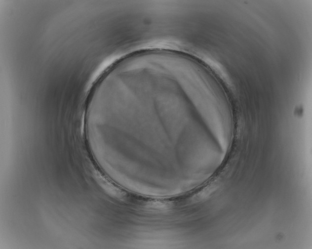 X0000091351224200709071232