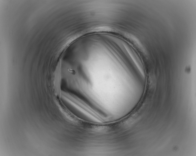 X0000091351225200709071232