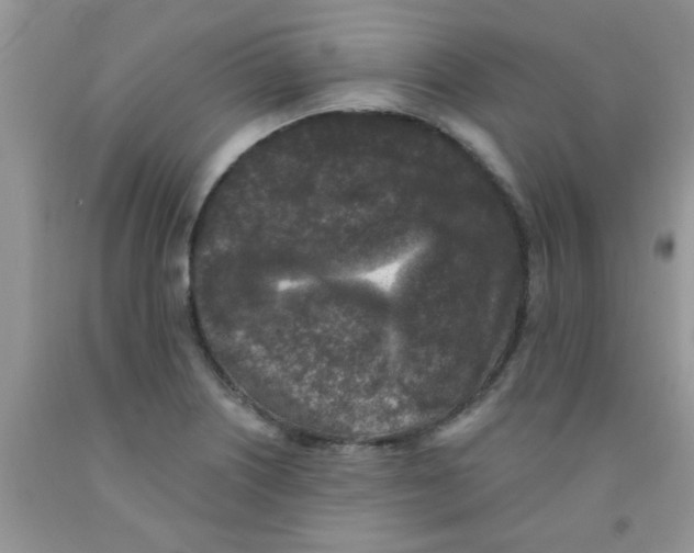 X0000091351226200709071232