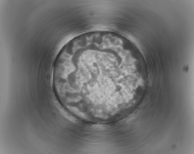 X0000091351227200709071232