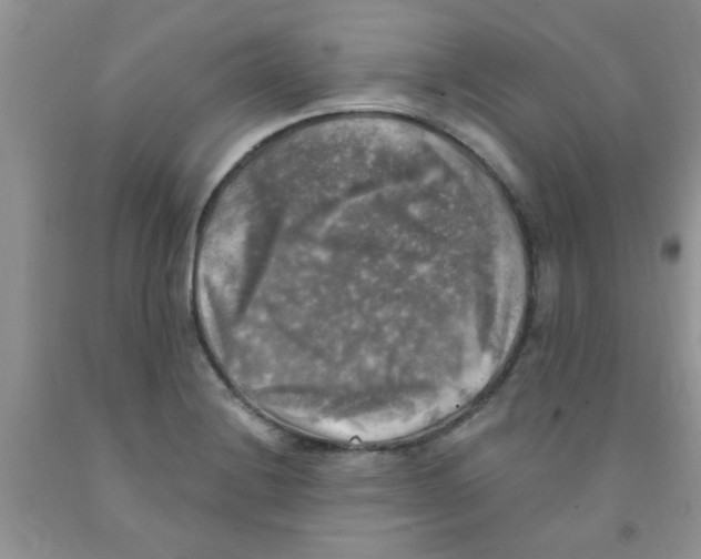X0000091351228200709071232