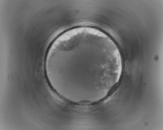 X0000091351229200709071232