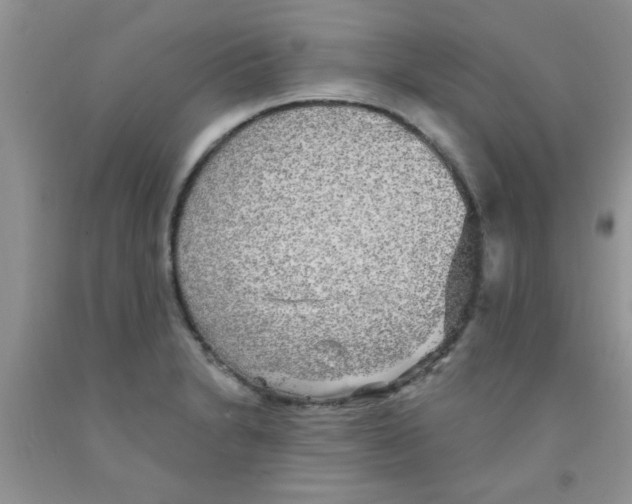 X0000091351230200709071232