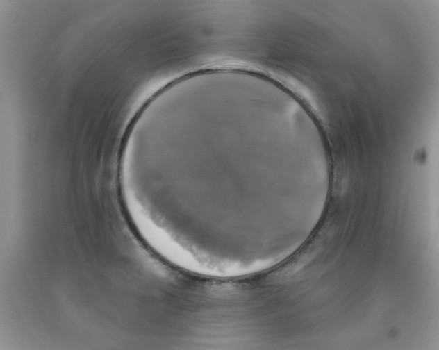 X0000091351231200709071232