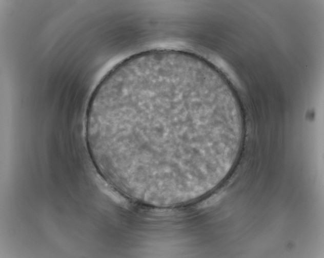 X0000091351232200709071232