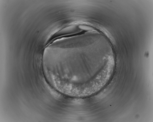 X0000091351233200709071232