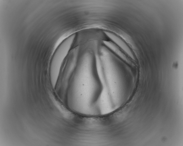 X0000091351234200709071232