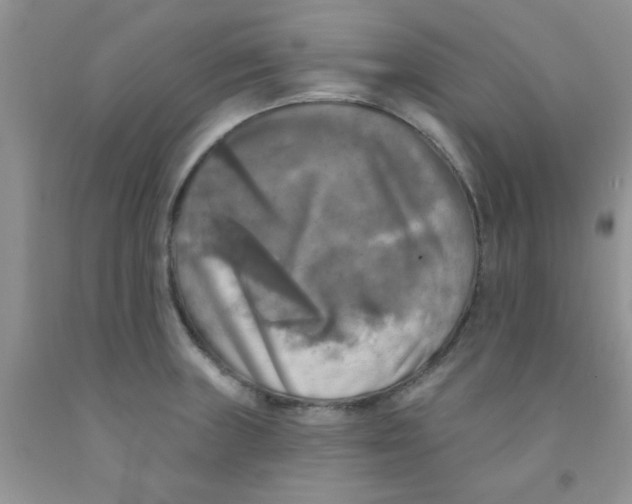 X0000091351235200709071232
