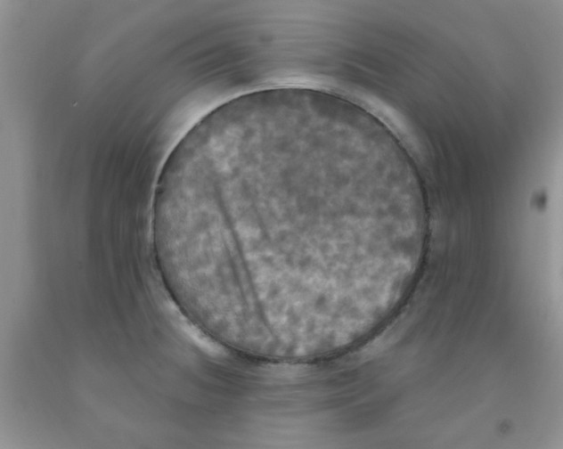 X0000091351236200709071232