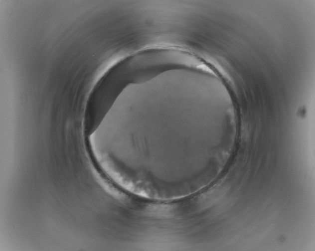 X0000091351237200709071232