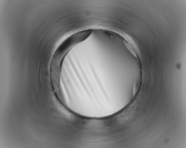 X0000091351238200709071232