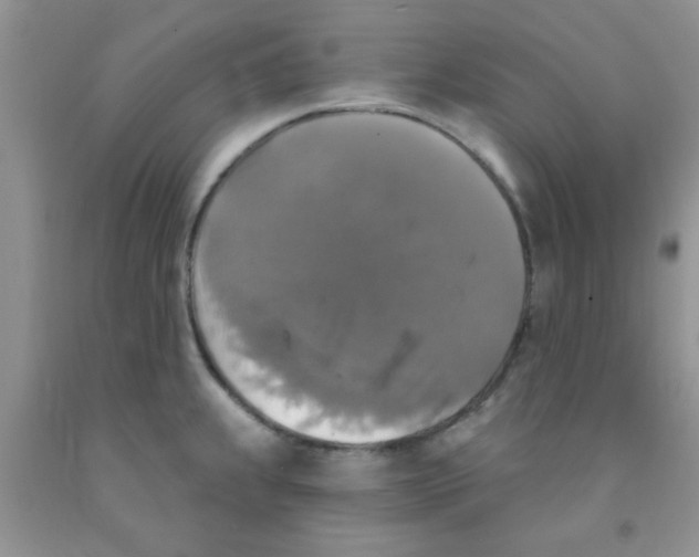 X0000091351239200709071232
