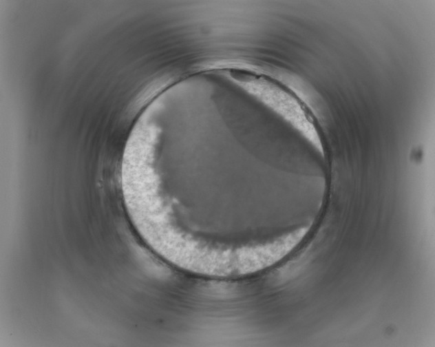 X0000091351241200709071232