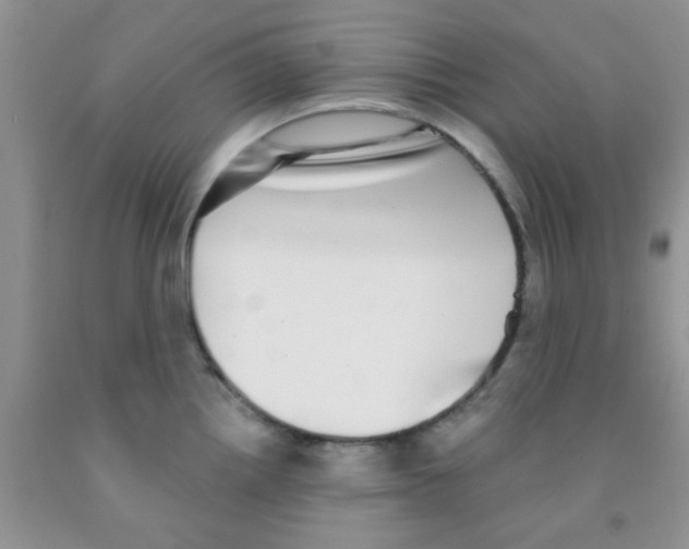 X0000091351242200709071232