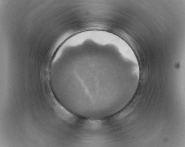 X0000091351243200709071232