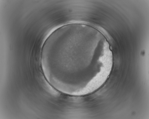 X0000091351244200709071232