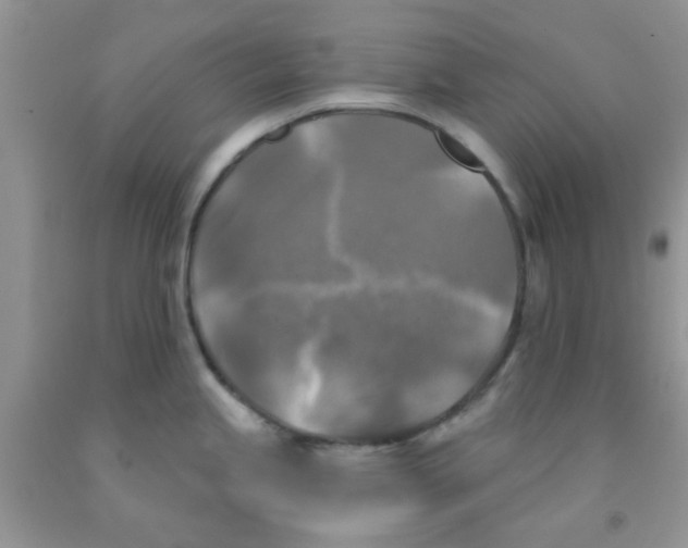 X0000091351245200709071232