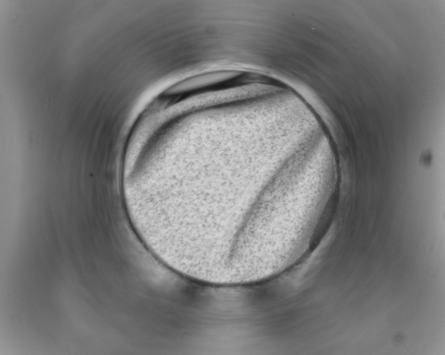 X0000091351246200709071232