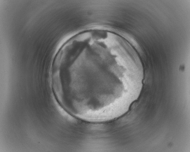 X0000091351247200709071232