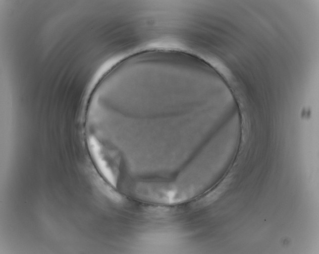 X0000091351248200709071232
