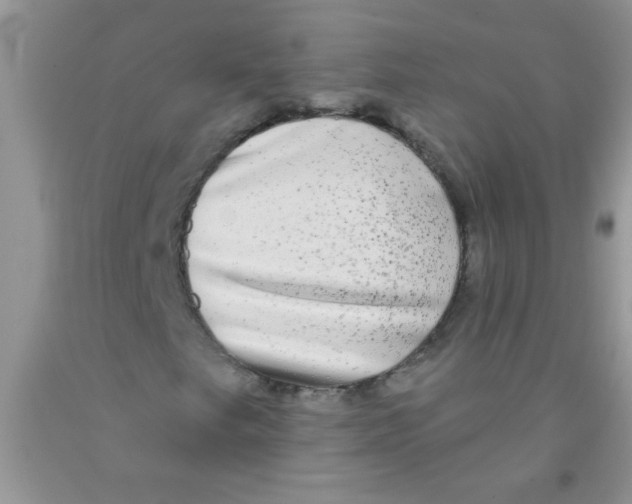 X0000091351249200709071232