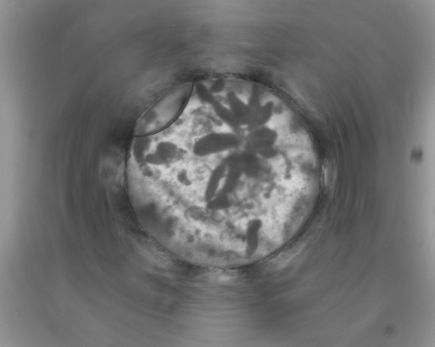 X0000091351251200709071232