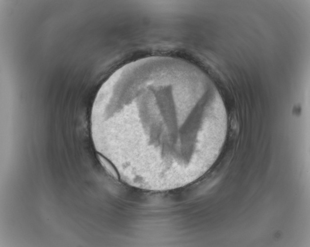 X0000091351252200709071232