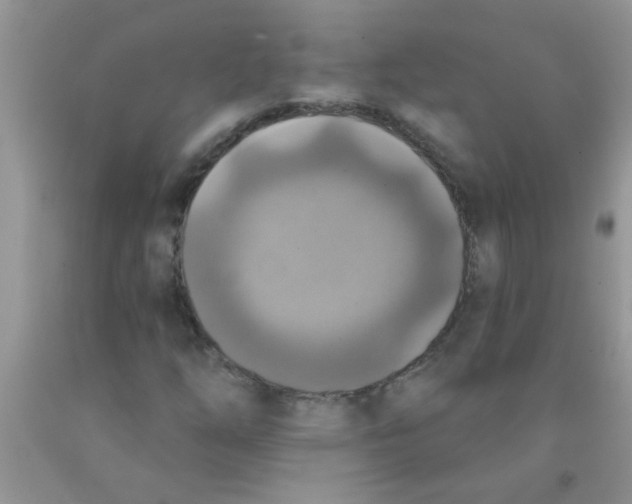 X0000091351254200709071232