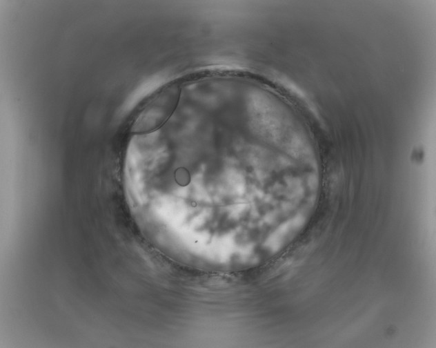 X0000091351255200709071232