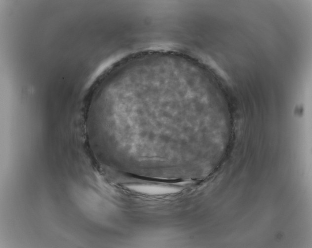 X0000091351256200709071232