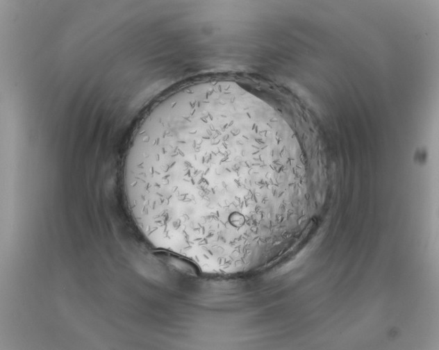 X0000091351257200709071231