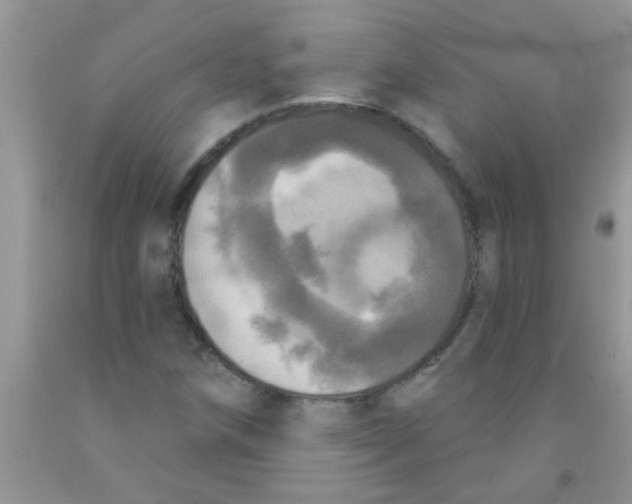 X0000091351258200709071231