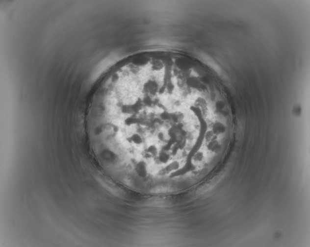 X0000091351259200709071231