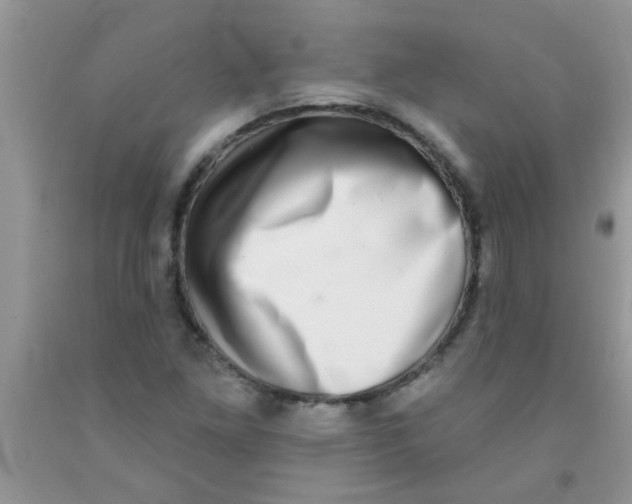 X0000091351261200709071231