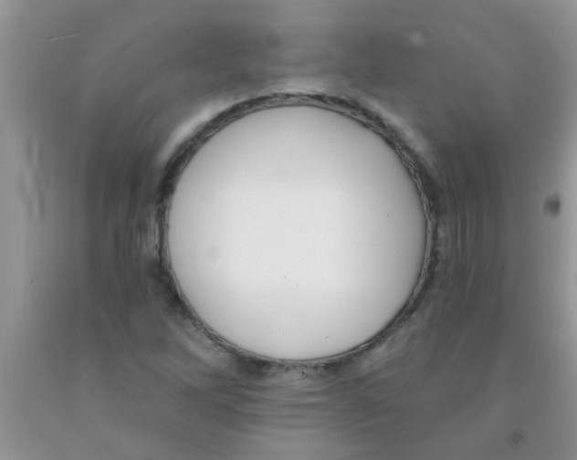 X0000091351262200709071231