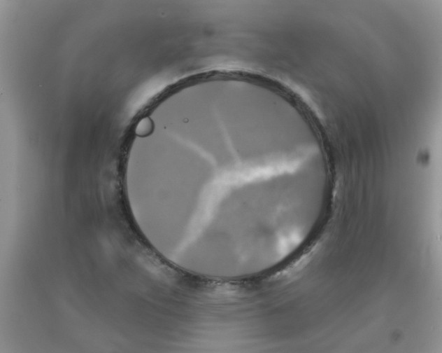 X0000091351263200709071231