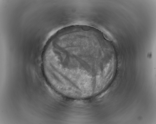 X0000091351264200709071231