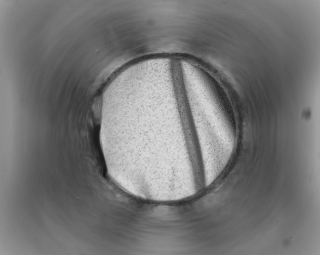 X0000091351265200709071231