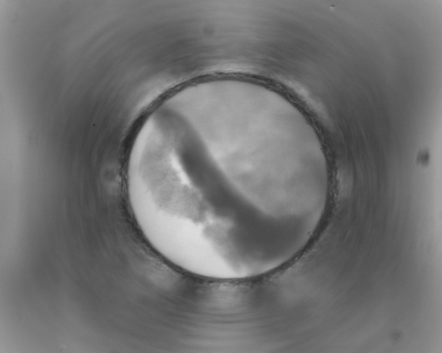 X0000091351266200709071231