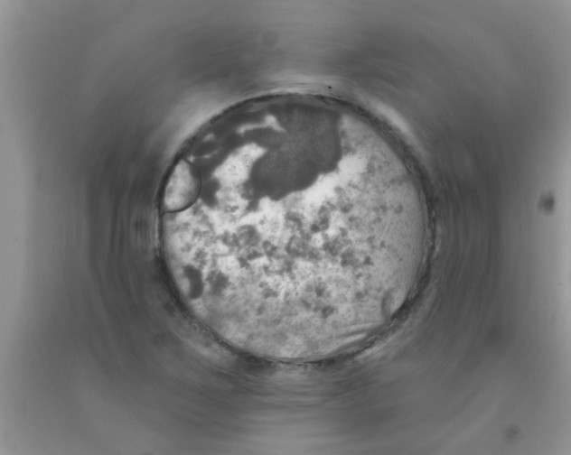 X0000091351267200709071231
