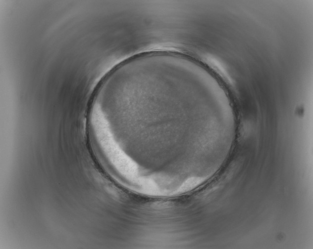 X0000091351268200709071231