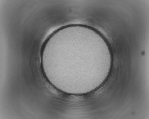 X0000091351270200709071231