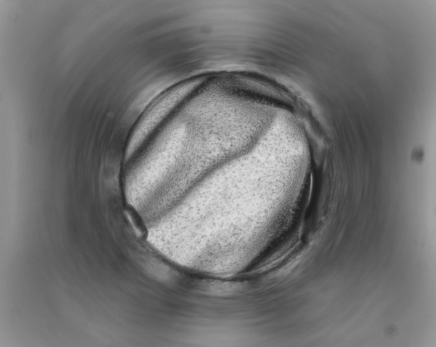 X0000091351273200709071231