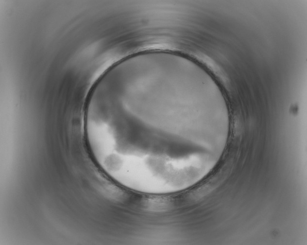 X0000091351274200709071231