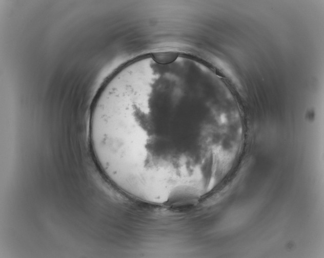 X0000091351275200709071231