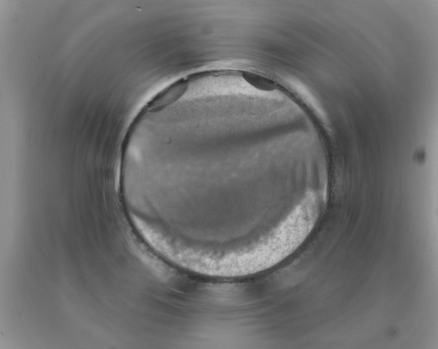 X0000091351276200709071231