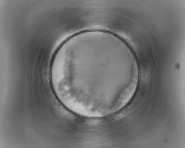 X0000091351278200709071231