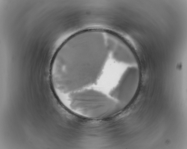 X0000091351279200709071231